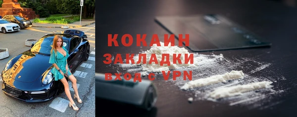 индика Новокубанск