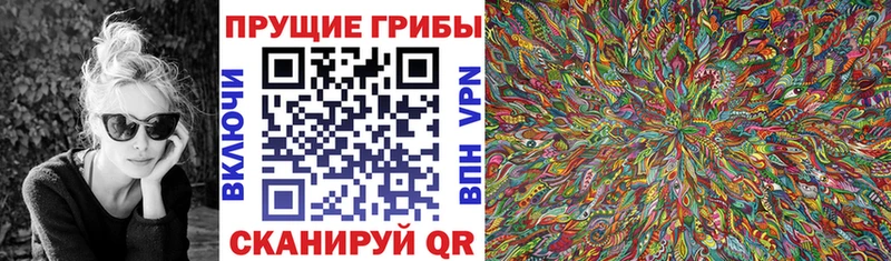 кракен зеркало  дарнет шоп  Лукоянов  Псилоцибиновые грибы Psilocybe 